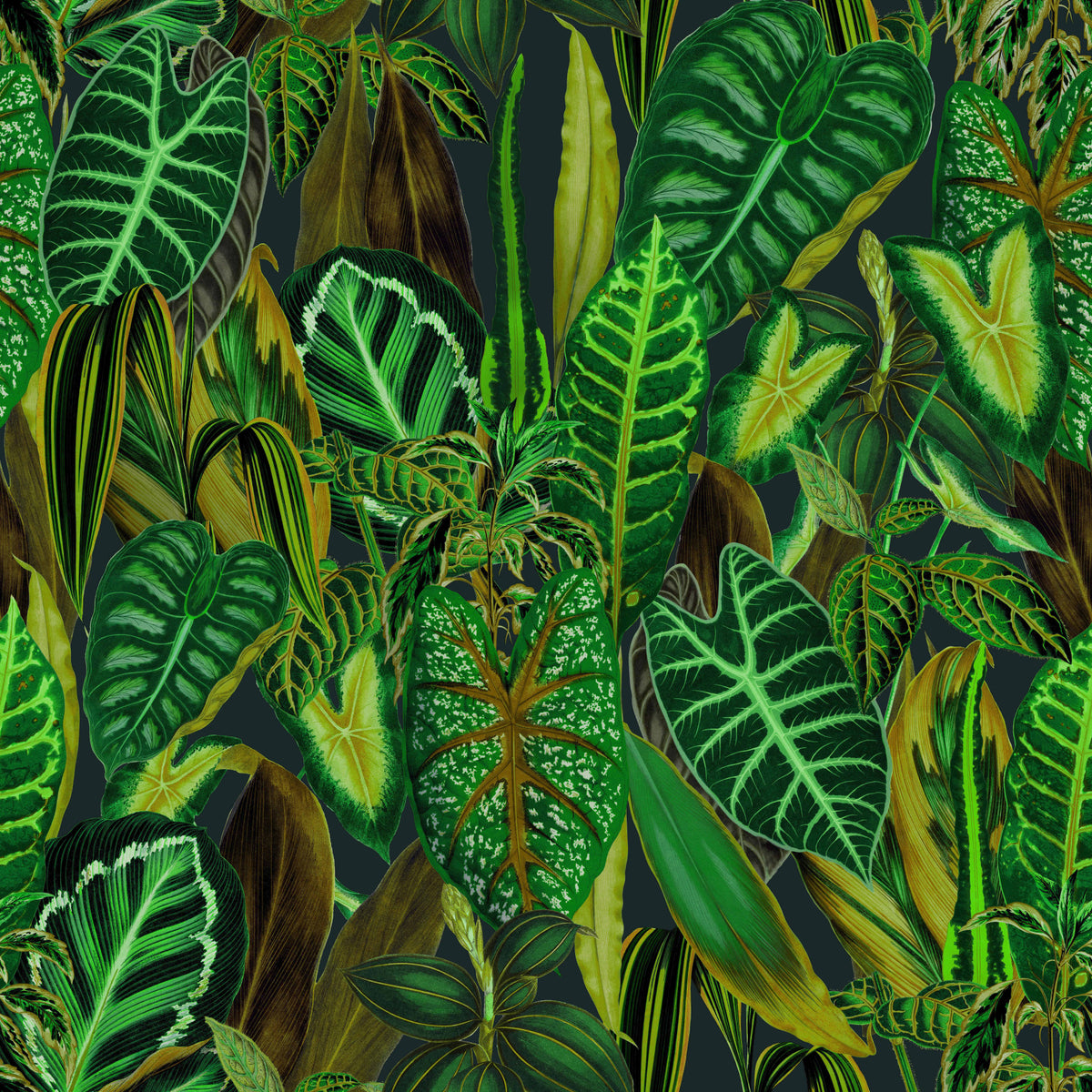 Green Exotic Foliage Wallpaper⁠ in your room — zoomed
