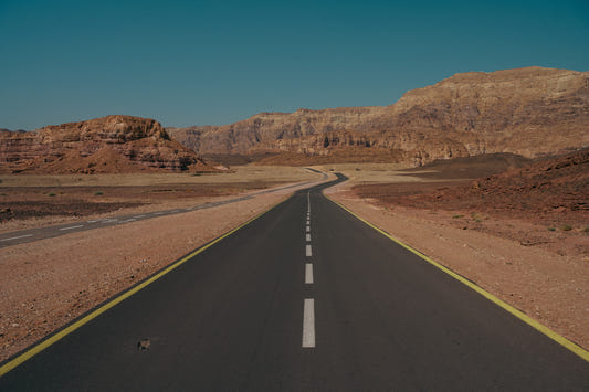 Desert Road #2 Wall Mural