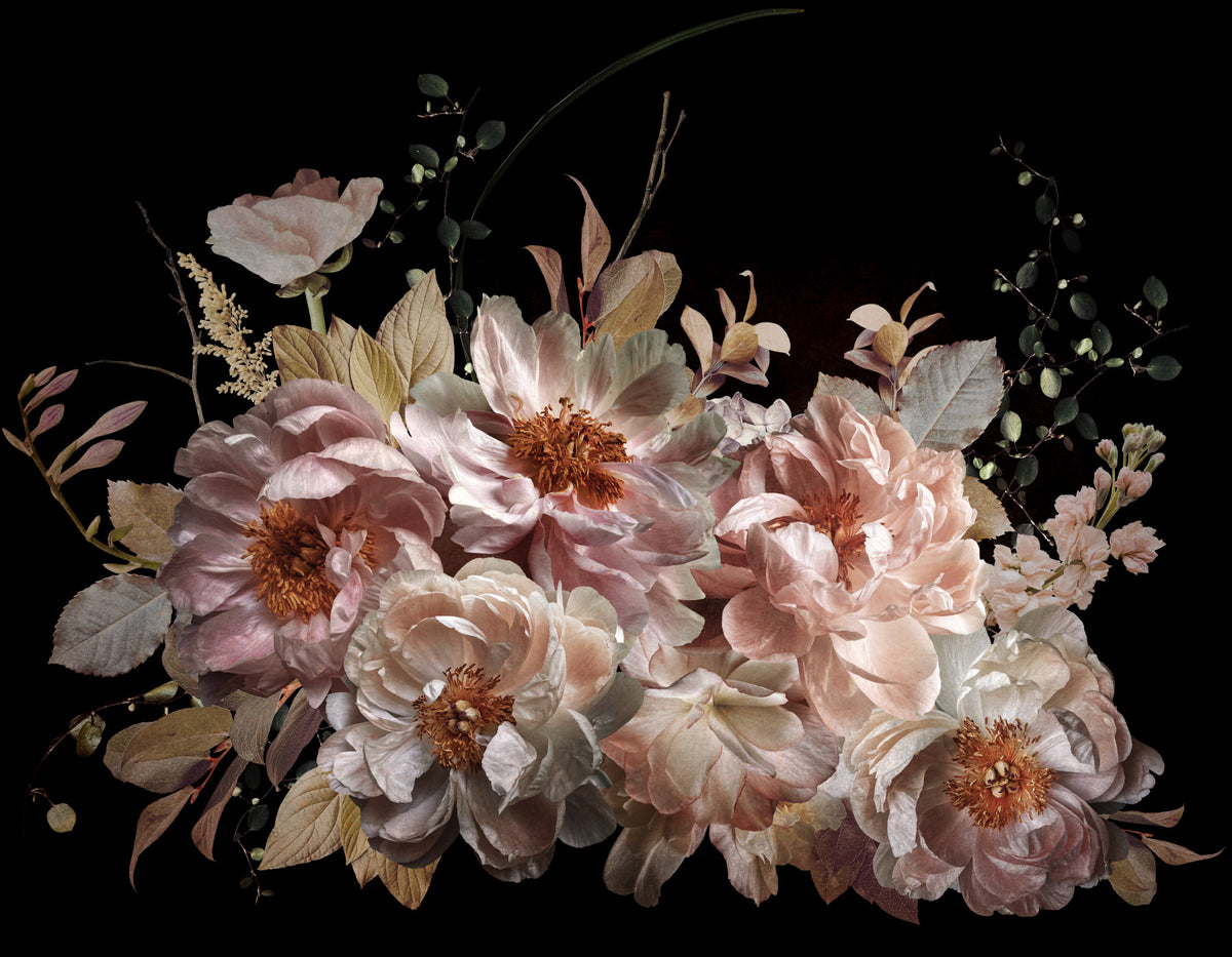 Blush Peonies Noir Garden Wall Mural in your room — zoomed