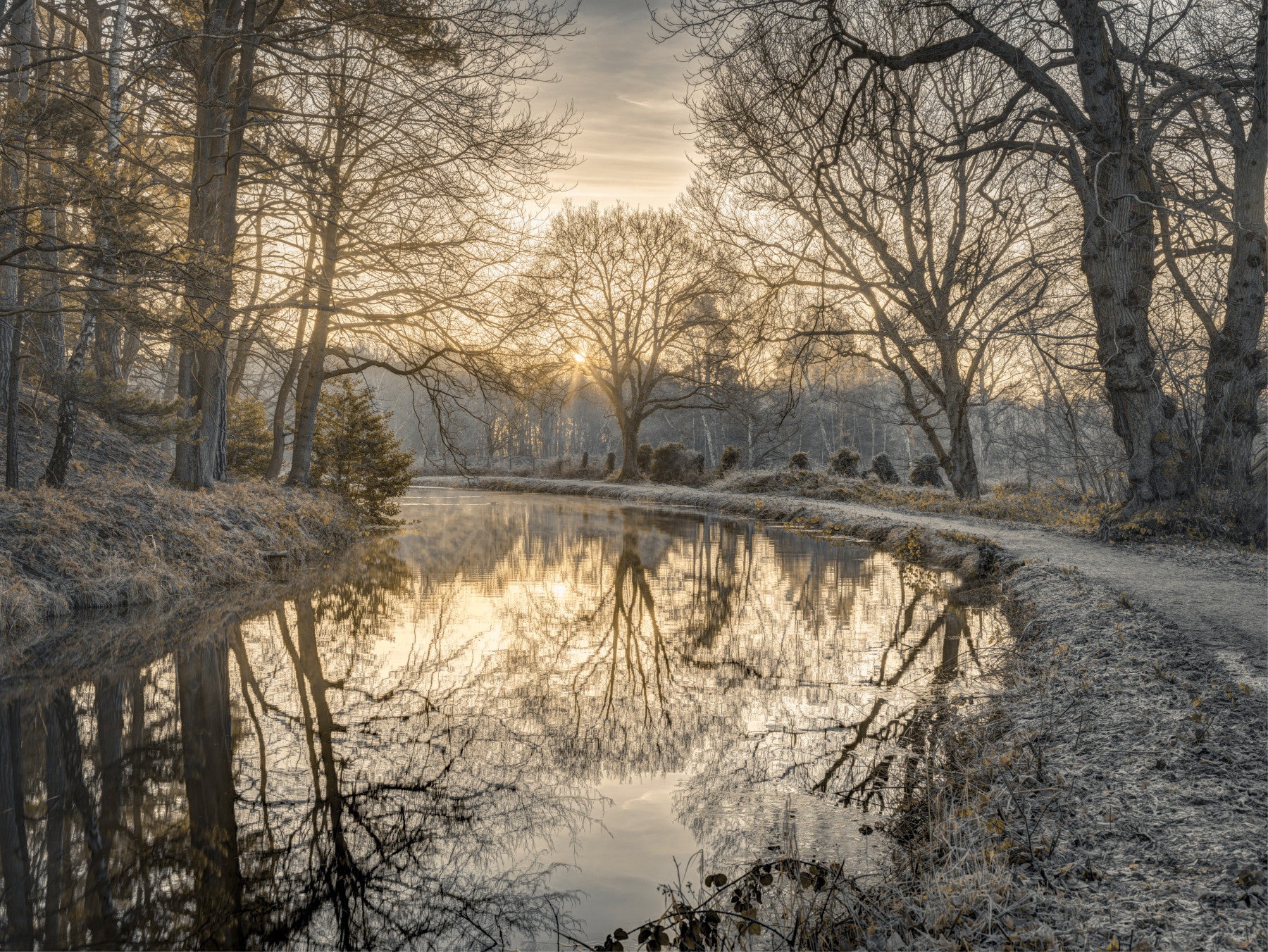 Frosty Morning Wall Mural