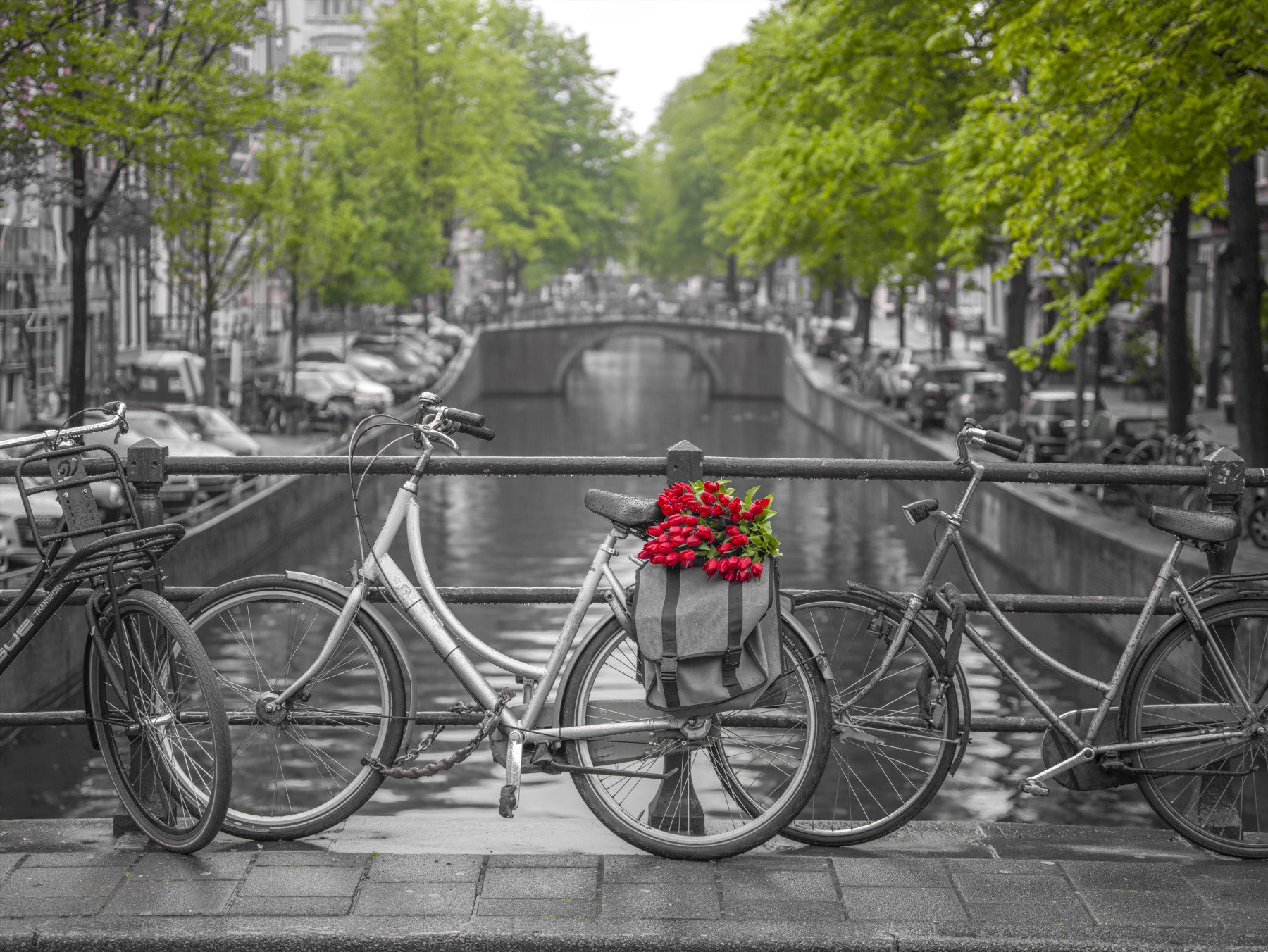 Quintessential Amsterdam Wall Mural