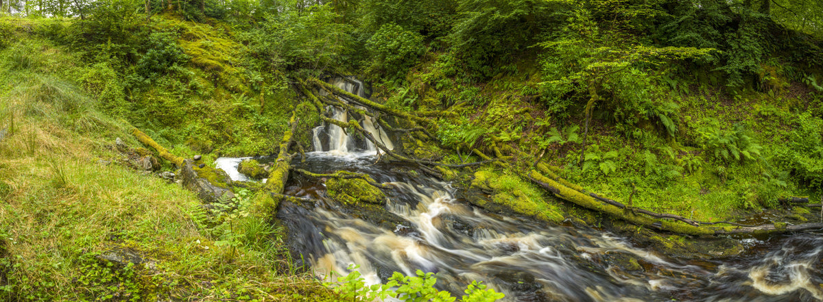 Mossy Falls Serenity Wall Mural