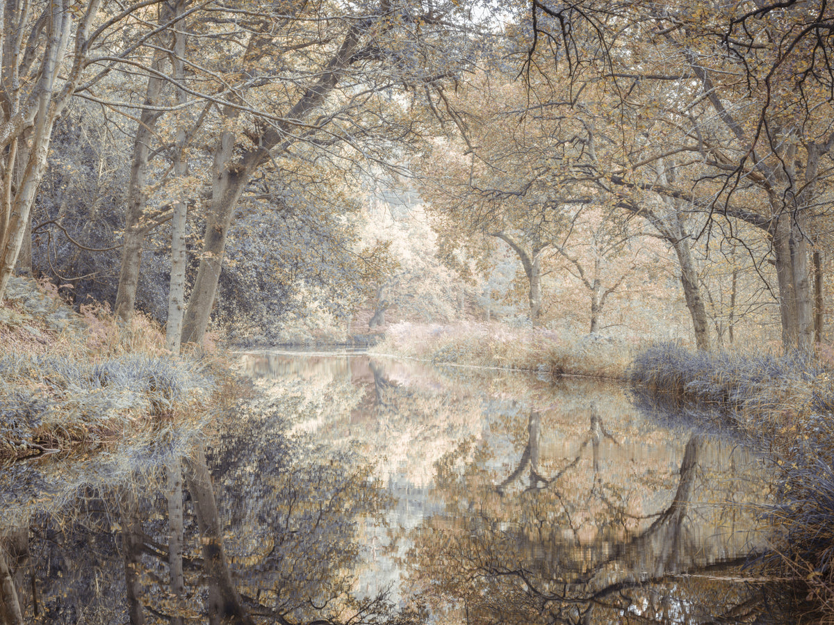 Whispering Waters Wall Mural in your room — zoomed