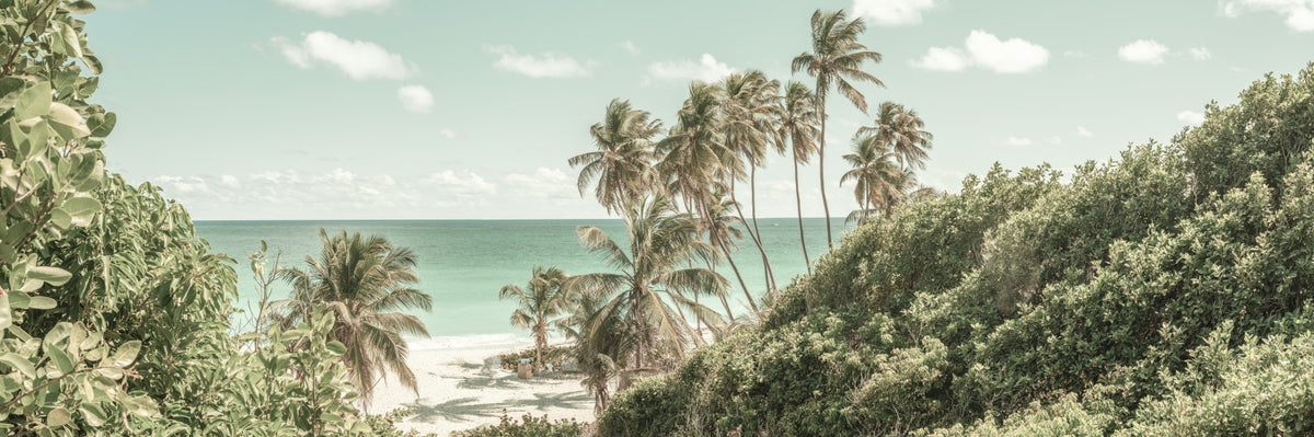 Oceanfront Serenity Wall Mural