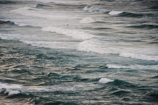 Winter Surfing V Wall Mural