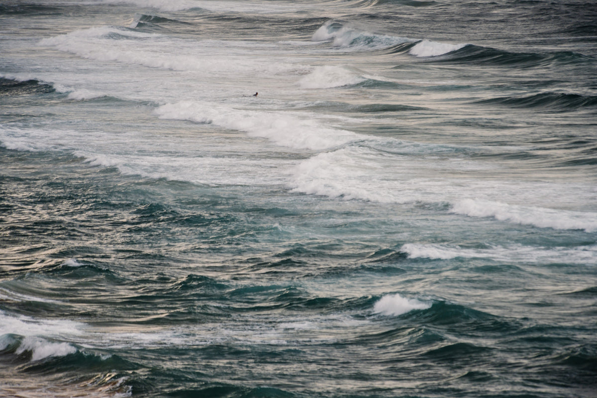 Winter Surfing V Wall Mural