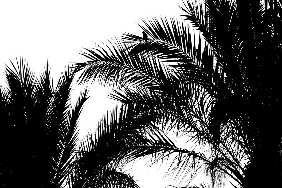 Waiting II Wall Mural in your room — zoomed