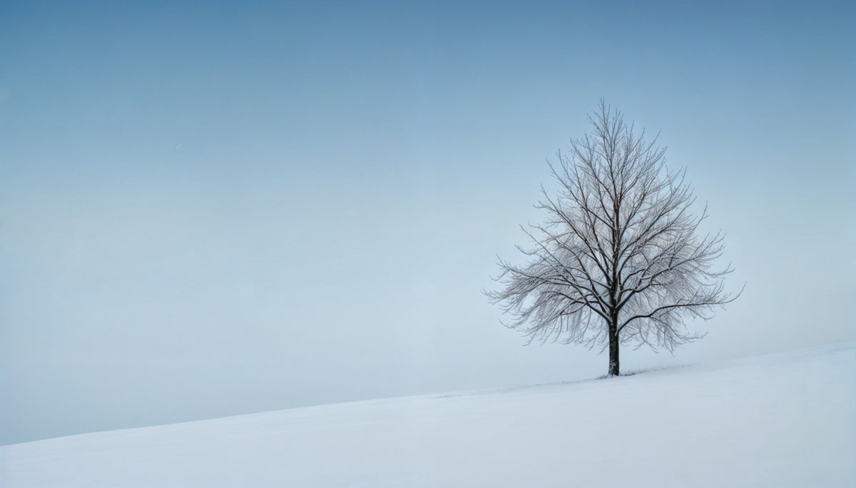 Frozen Simplicity Wall Mural in your room — zoomed