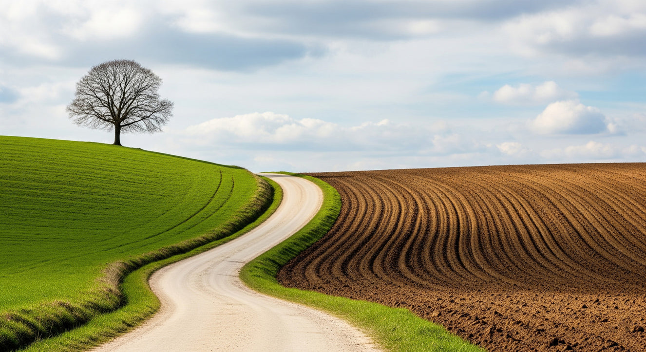 Rural Curve Wall Mural
