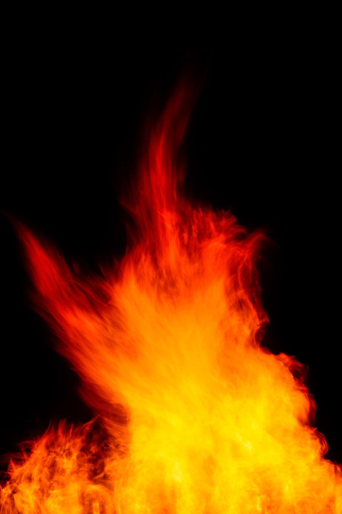 Lag BaOmer V Wall Mural in your room — zoomed