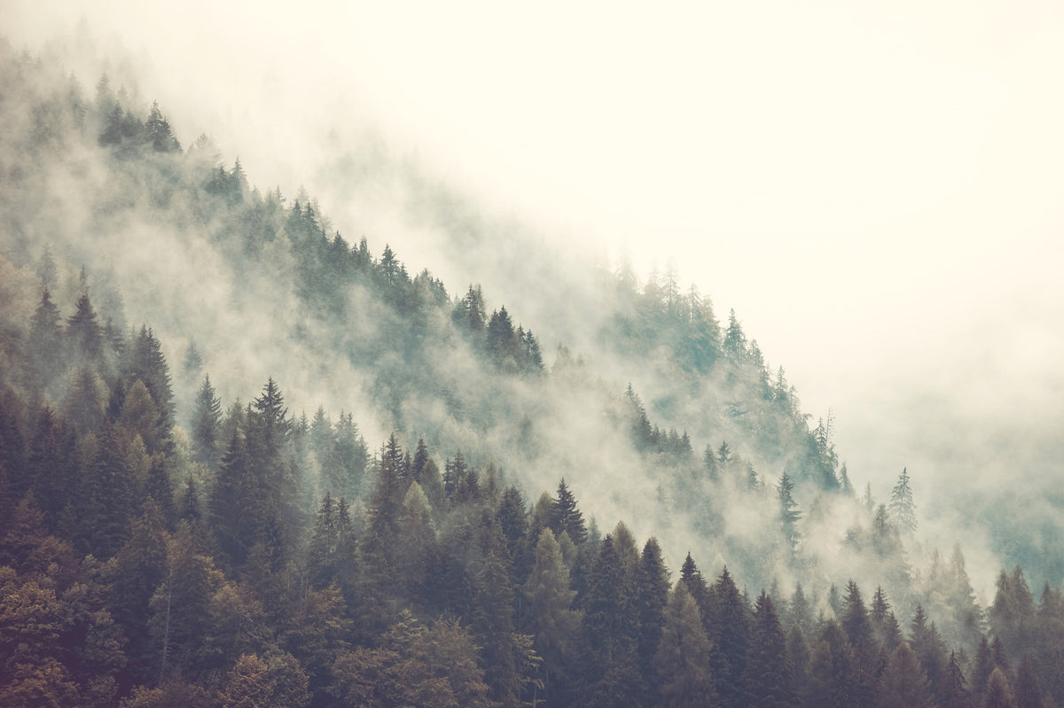 Misty Mountainside Wall Mural