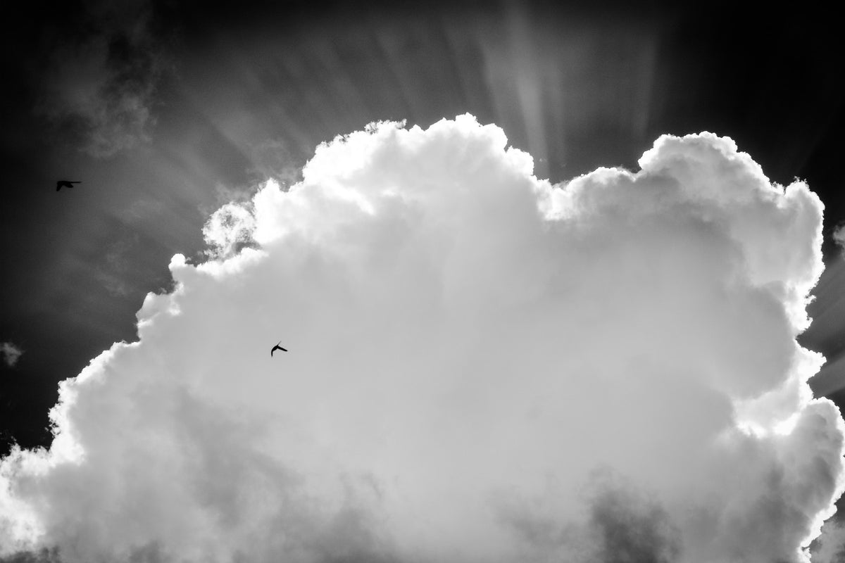 Heavenly Wall Mural in your room — zoomed