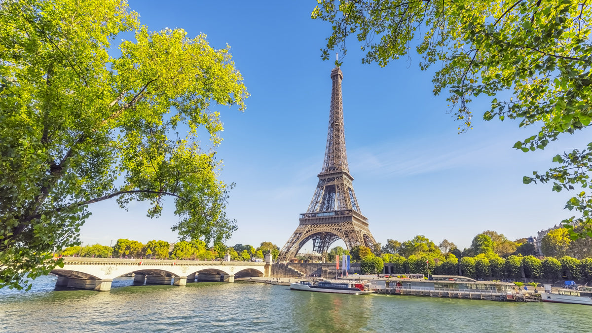 Parisian Majesty Wall Mural
