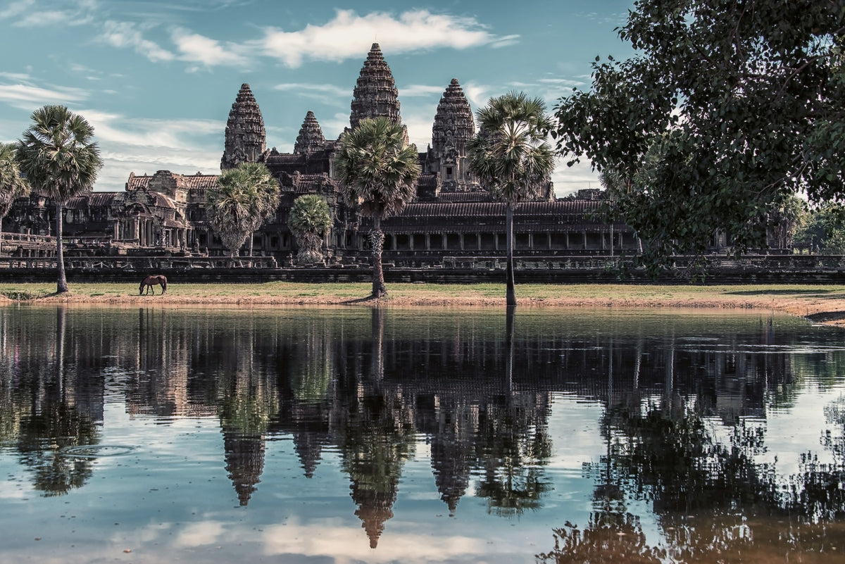 Angkor Wat Reflection Wall Mural in your room — zoomed