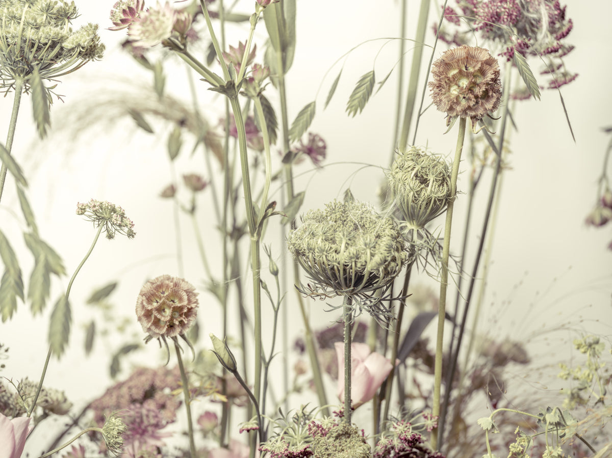 Wildflower Waltz Wall Mural in your room — zoomed