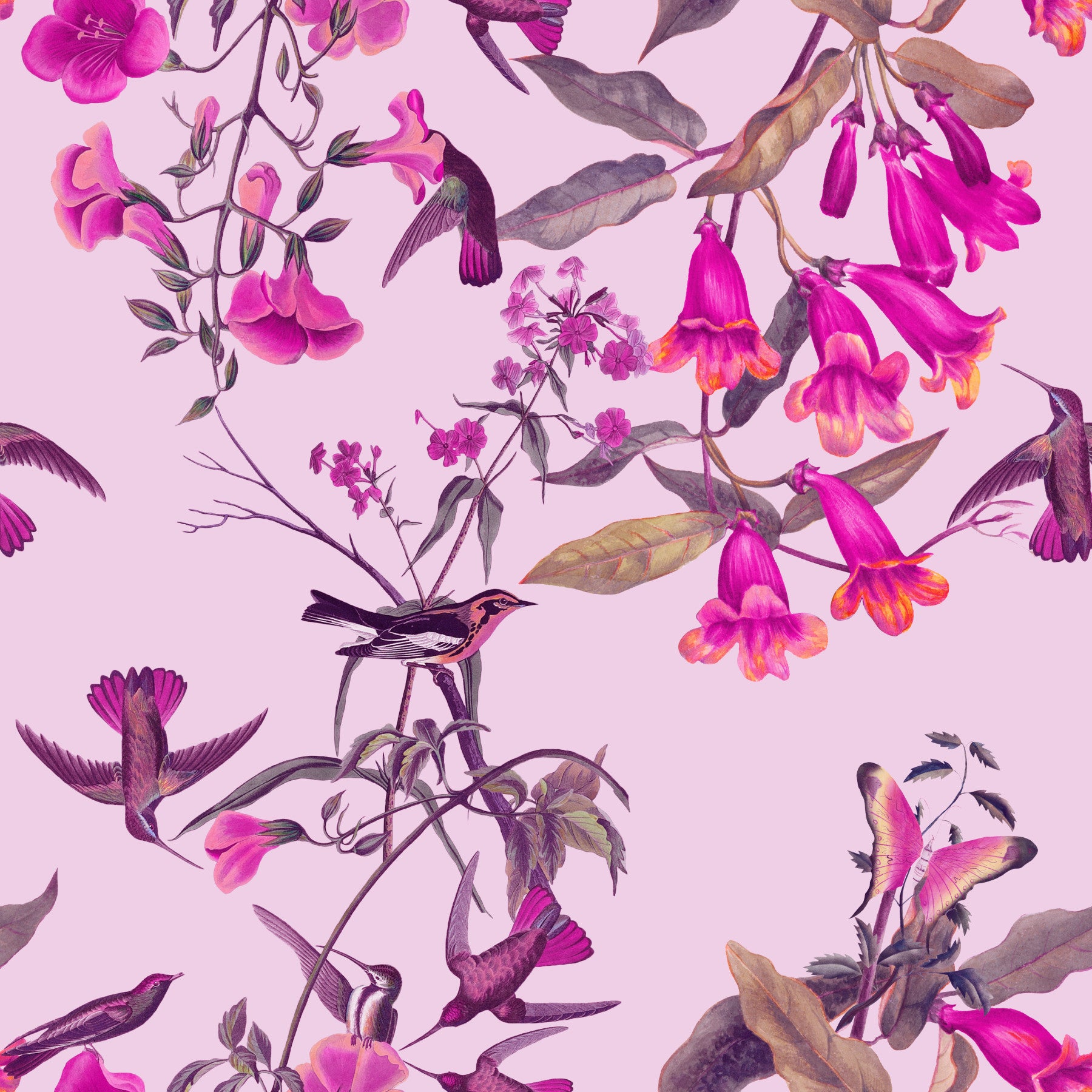 Magenta Garden Aviary Wallpaper⁠