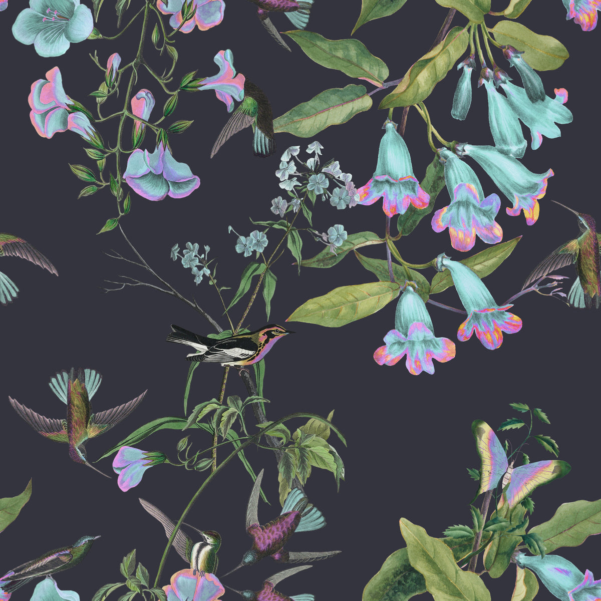 Hummingbird Haven Wallpaper⁠ in your room — zoomed