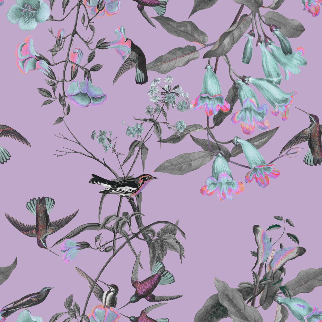 Flora & Feather Fantasy Wallpaper⁠