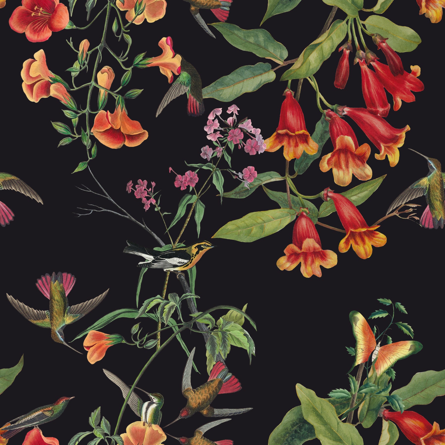 Floral Flight Dark Elegance Wallpaper⁠