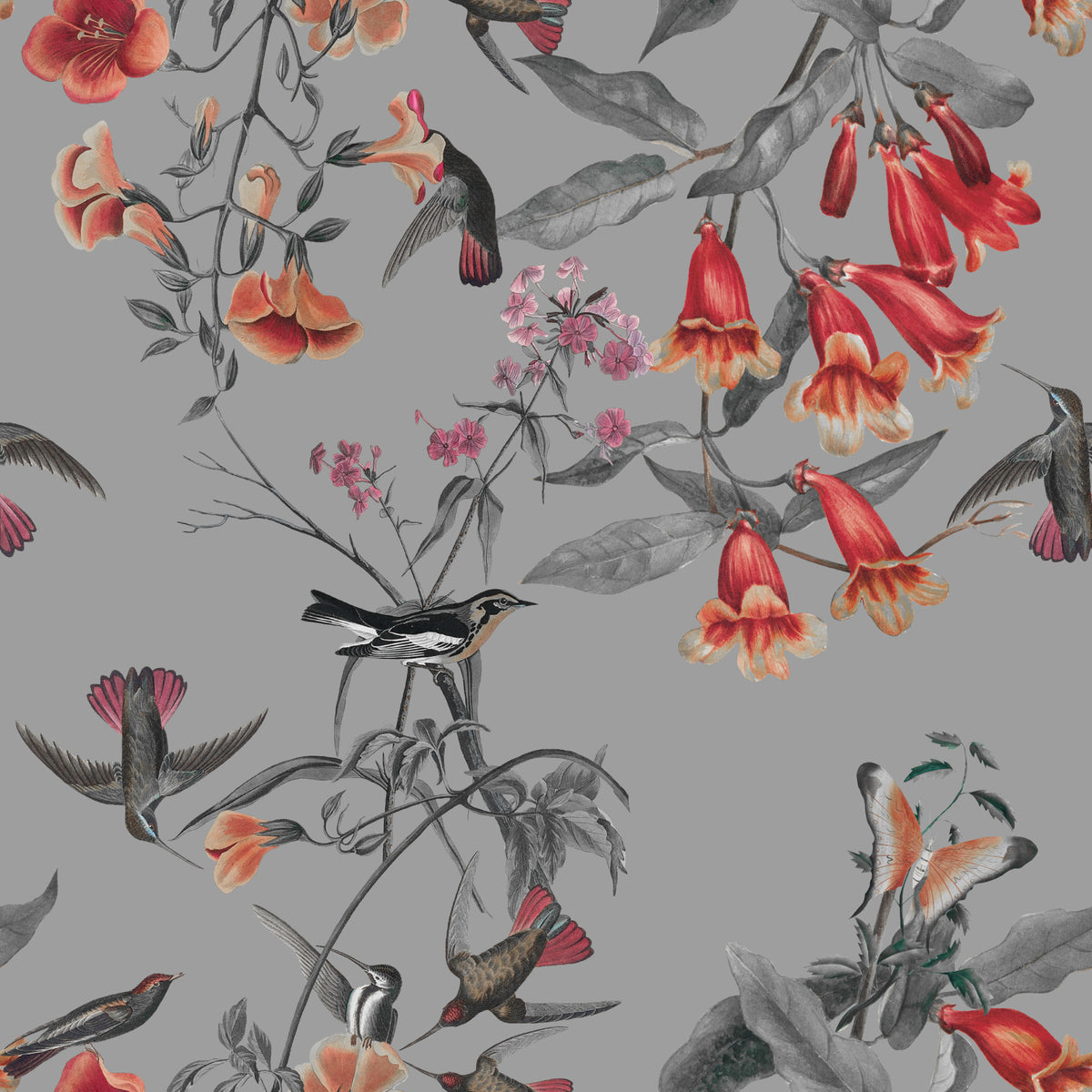 Hummingbird's Song Wallpaper⁠