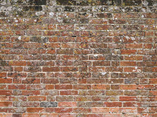 Classic Red Brick Look Wall Mural