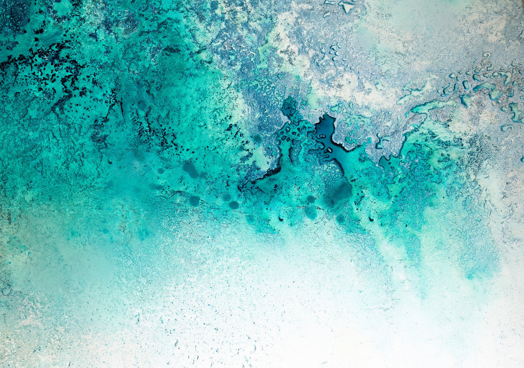 Serene Waters Wall Mural -2732158