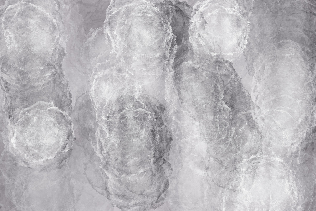 Gray Clouds Wall Mural -2303810