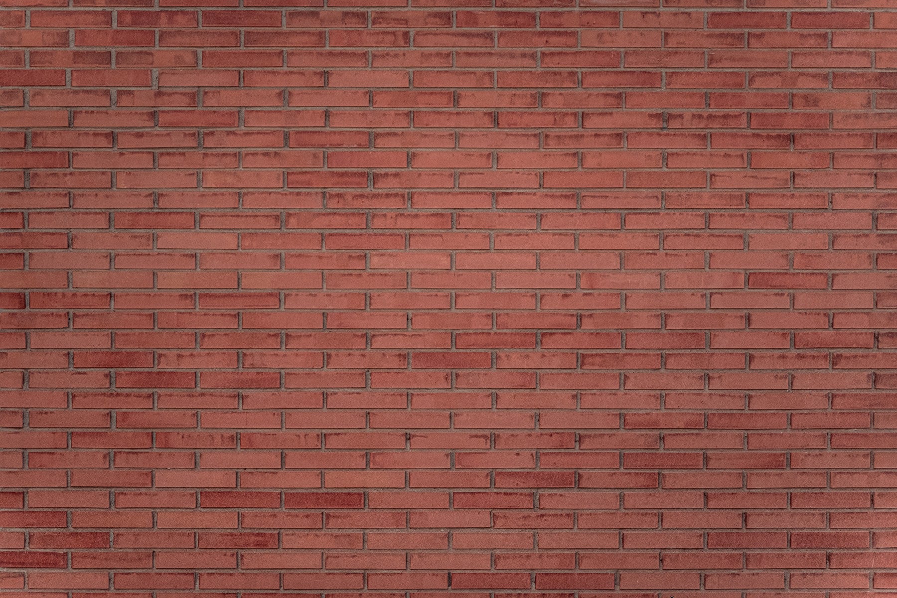 Terracotta Texture Wall Mural -2308179