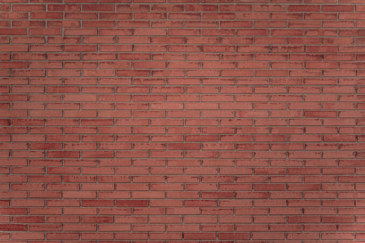 Terracotta Texture Wall Mural -2308179