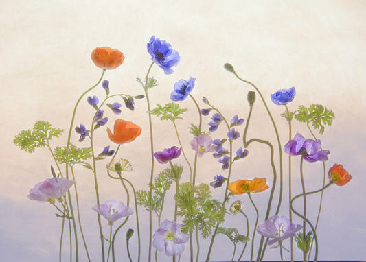 Bloom Hues Wall Mural -1876358