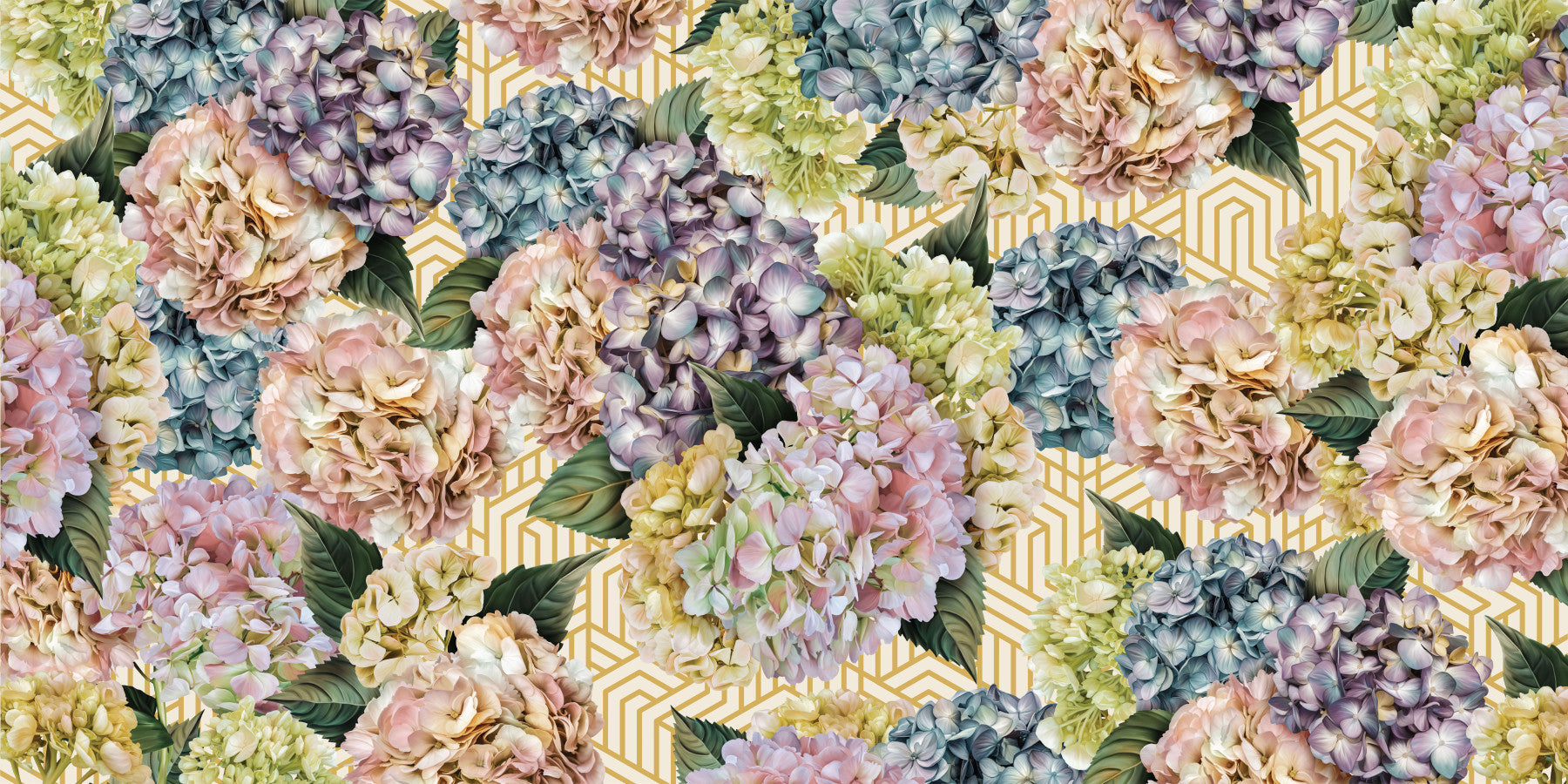 Hydrangea Bloom Wall Mural -2735566