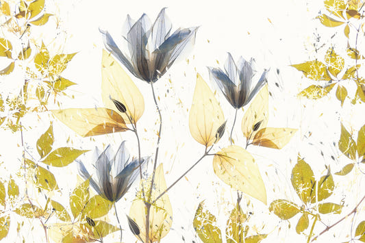 Ethereal Bloom Wall Mural -2504298