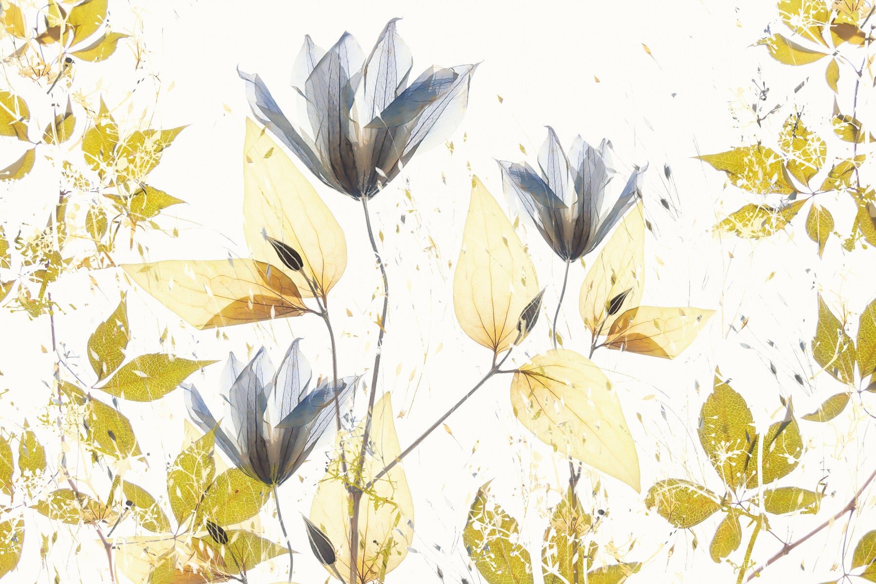 Ethereal Bloom Wall Mural -2504298