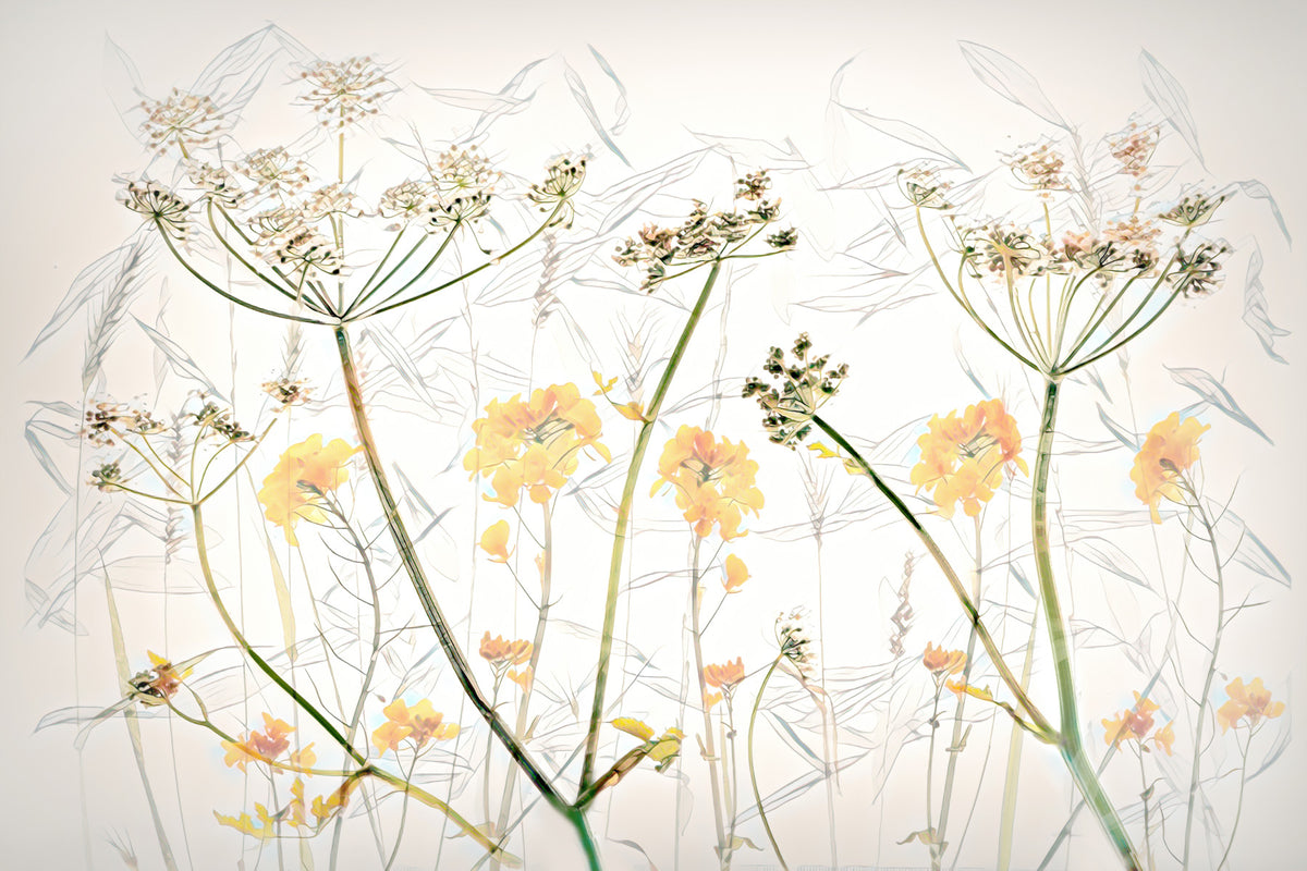 Golden Whisper Floral Wall Mural -2503370 in your room — zoomed