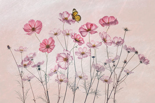 Cosmos Whispers Wall Mural -1972890