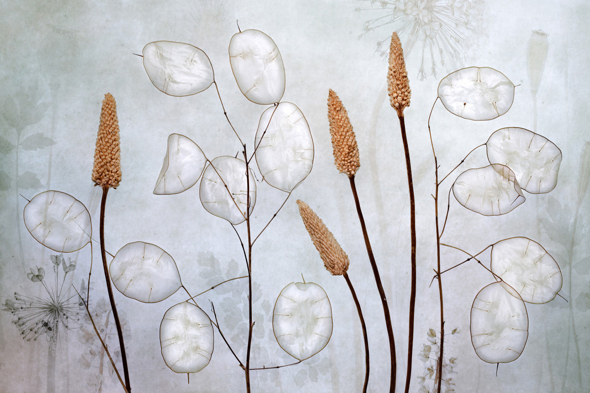 Botanical Echoes Wall Mural -1037879