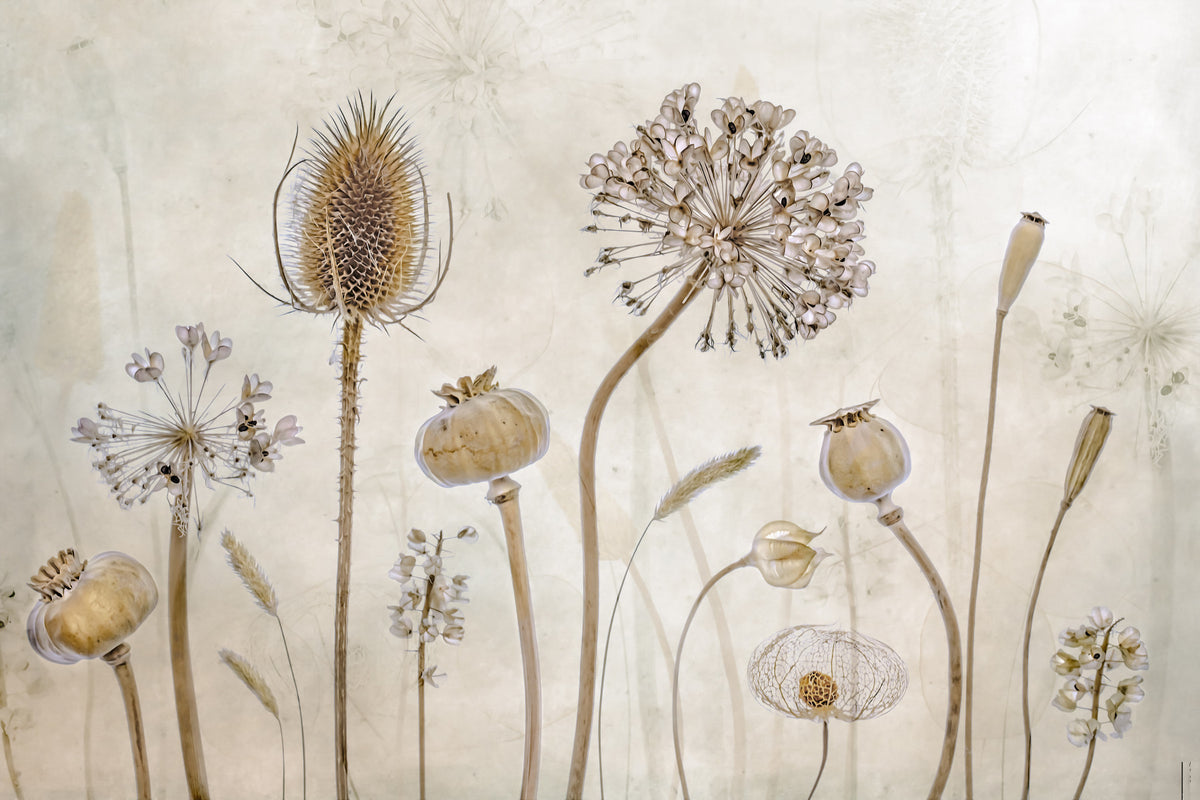 Ethereal Flora Design Wall Mural -1211143 in your room — zoomed