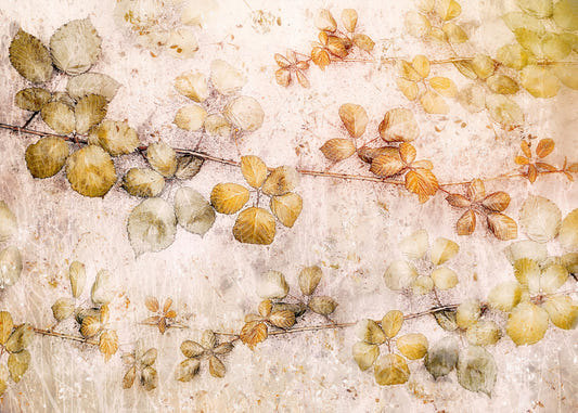 Golden Leaves Wall Mural -2342594