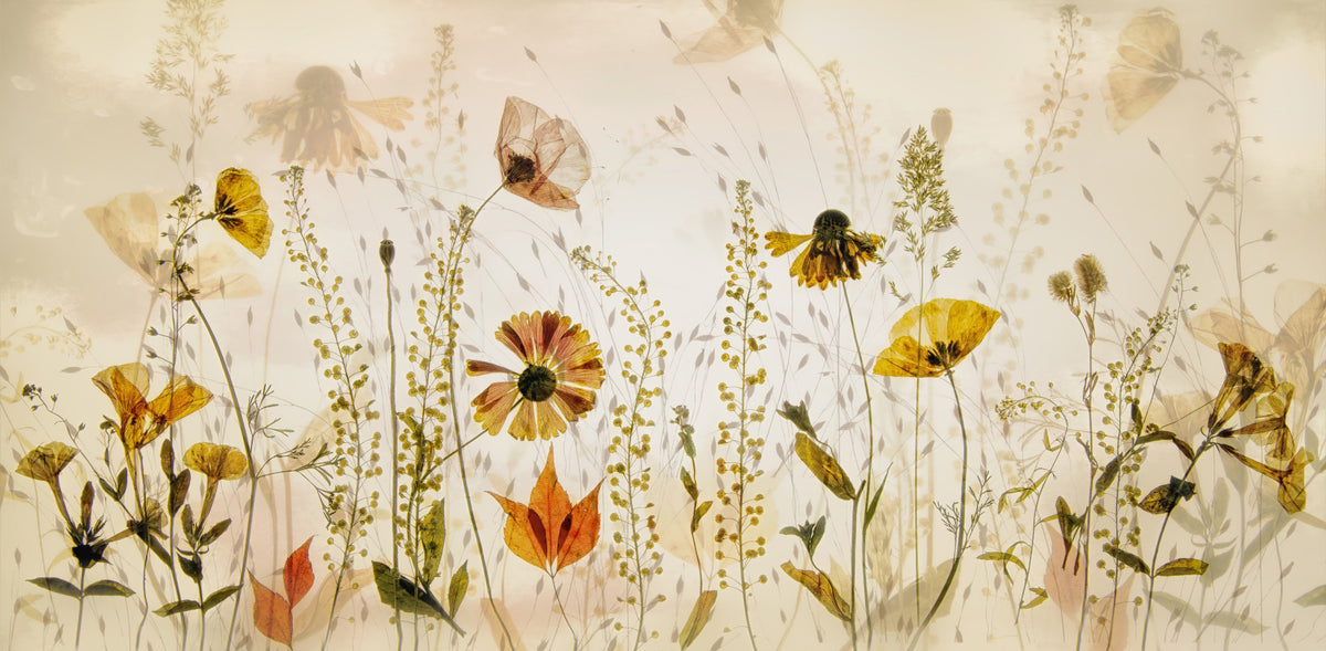 Pressed Petals Vintage Bloom Wall Mural -1826000