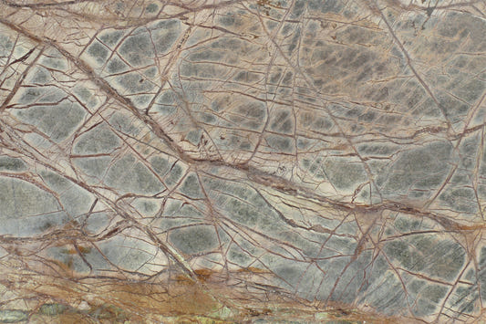 Forest Floor Marble Wall Mural -2579764