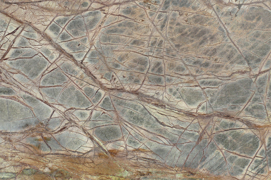 Forest Floor Marble Wall Mural -2579764