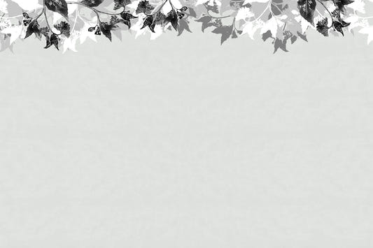 Monochrome Canopy Wall Mural -2720698