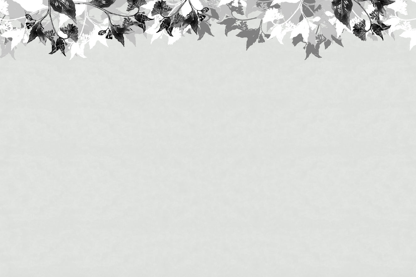 Monochrome Canopy Wall Mural -2720698