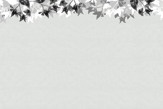 Monochrome Canopy Wall Mural -2720698