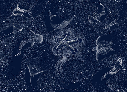 Astral Sea Wall Mural -2745722