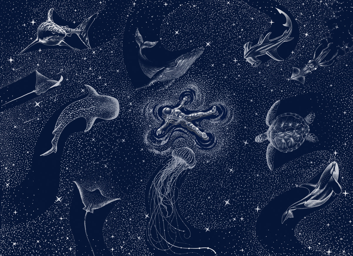 Astral Sea Wall Mural -2745722