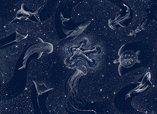 Astral Sea Wall Mural -2745722