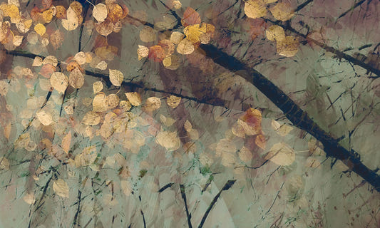 Autumn's Tranquil Reflection Wall Mural - 2852493