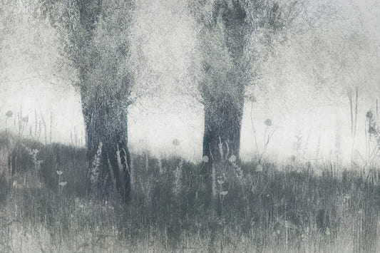 Misty Arbor Elegance Wall Mural -2262238