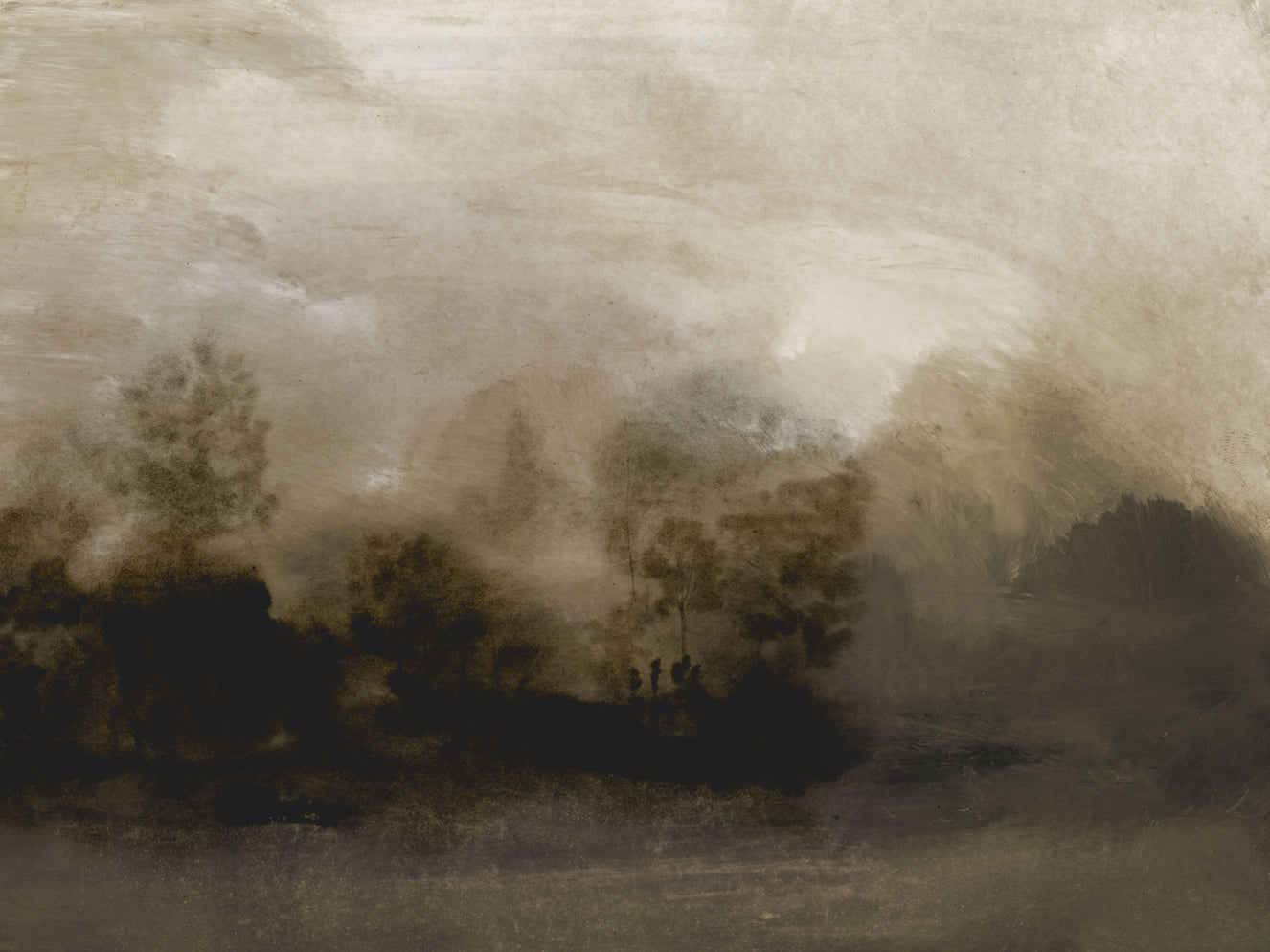 Misty Woods Wall Mural -2887039